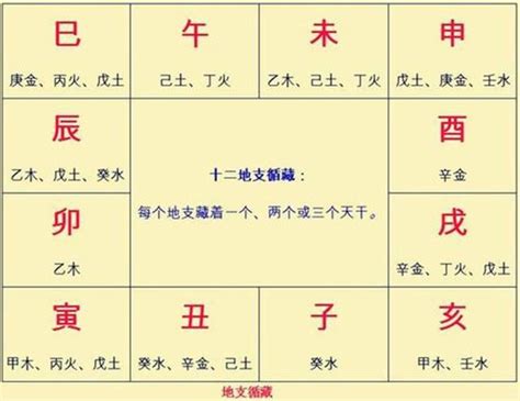 亥屬性|八字入門：地支的陰陽屬性以及生克關係（七）